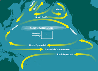 colocius-pacific-trash-vortex–isola-di-spazzatura-oceano-pacifico